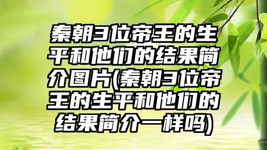 秦朝3位帝王的生平和他們的結(jié)果簡(jiǎn)介圖片(秦朝3位帝王的生平和他們的結(jié)果簡(jiǎn)介一樣嗎)