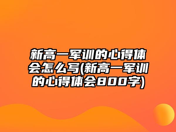 新高一軍訓(xùn)的心得體會怎么寫(新高一軍訓(xùn)的心得體會800字)