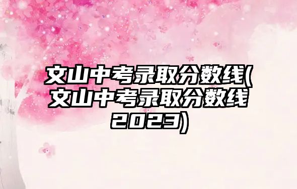 文山中考錄取分?jǐn)?shù)線(文山中考錄取分?jǐn)?shù)線2023)