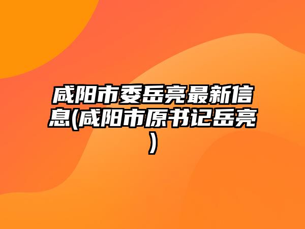 咸陽市委岳亮最新信息(咸陽市原書記岳亮)