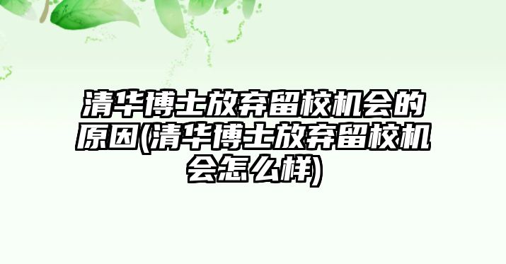 清華博士放棄留校機(jī)會(huì)的原因(清華博士放棄留校機(jī)會(huì)怎么樣)