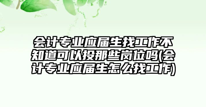 會(huì)計(jì)專業(yè)應(yīng)屆生找工作不知道可以投那些崗位嗎(會(huì)計(jì)專業(yè)應(yīng)屆生怎么找工作)