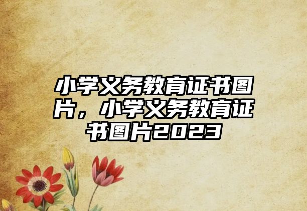 小學(xué)義務(wù)教育證書圖片，小學(xué)義務(wù)教育證書圖片2023