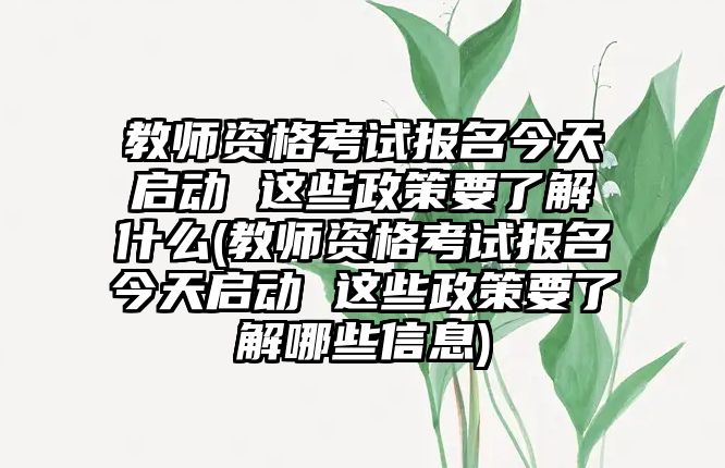 教師資格考試報名今天啟動 這些政策要了解什么(教師資格考試報名今天啟動 這些政策要了解哪些信息)