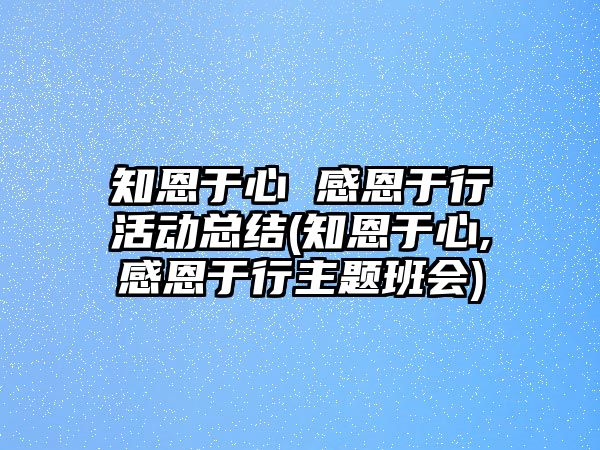 知恩于心 感恩于行活動(dòng)總結(jié)(知恩于心,感恩于行主題班會(huì))