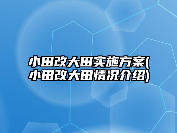 小田改大田實(shí)施方案(小田改大田情況介紹)