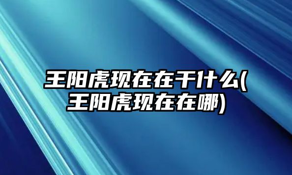 王陽虎現(xiàn)在在干什么(王陽虎現(xiàn)在在哪)