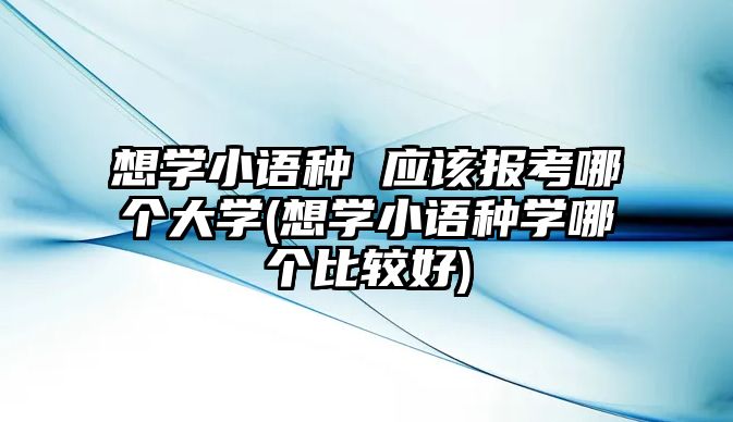 想學(xué)小語(yǔ)種 應(yīng)該報(bào)考哪個(gè)大學(xué)(想學(xué)小語(yǔ)種學(xué)哪個(gè)比較好)