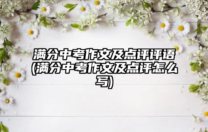 滿分中考作文及點評評語(滿分中考作文及點評怎么寫)