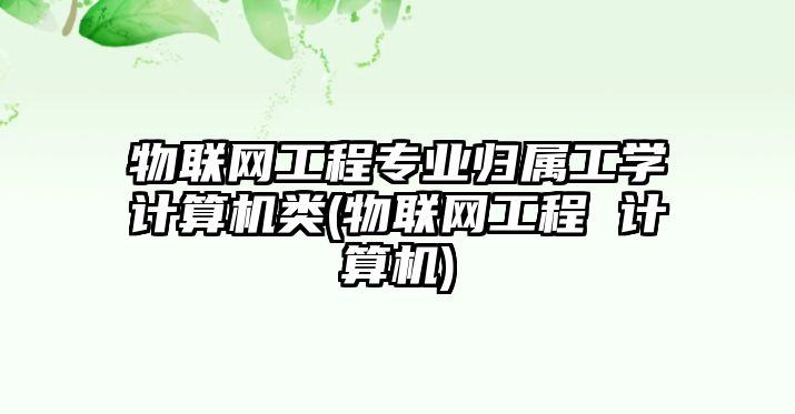 物聯(lián)網(wǎng)工程專業(yè)歸屬工學(xué)計(jì)算機(jī)類(物聯(lián)網(wǎng)工程 計(jì)算機(jī))