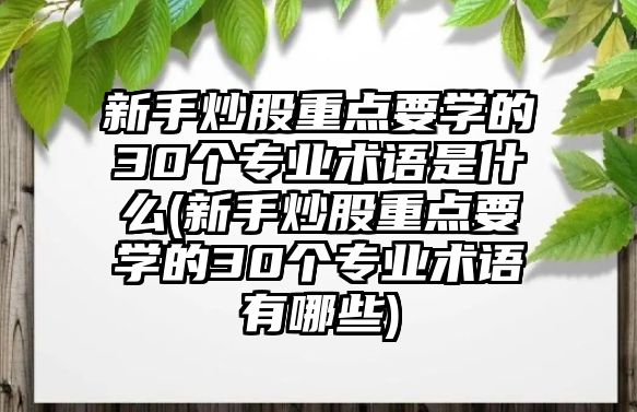 新手炒股重點要學的30個專業(yè)術語是什么(新手炒股重點要學的30個專業(yè)術語有哪些)