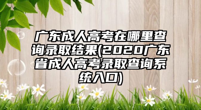 廣東成人高考在哪里查詢錄取結(jié)果(2020廣東省成人高考錄取查詢系統(tǒng)入口)