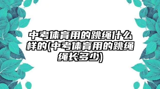 中考體育用的跳繩什么樣的(中考體育用的跳繩繩長(zhǎng)多少)