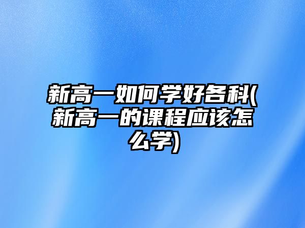 新高一如何學好各科(新高一的課程應(yīng)該怎么學)