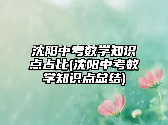 沈陽(yáng)中考數(shù)學(xué)知識(shí)點(diǎn)占比(沈陽(yáng)中考數(shù)學(xué)知識(shí)點(diǎn)總結(jié))