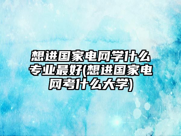 想進國家電網(wǎng)學(xué)什么專業(yè)最好(想進國家電網(wǎng)考什么大學(xué))