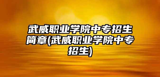 武威職業(yè)學院中專招生簡章(武威職業(yè)學院中專招生)