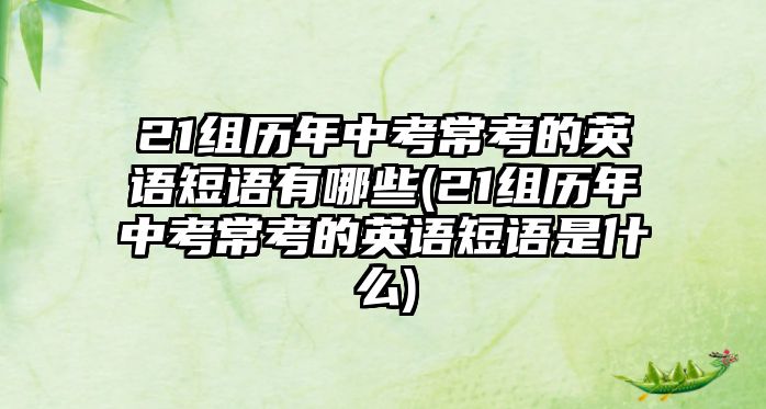 21組歷年中考?？嫉挠⒄Z短語有哪些(21組歷年中考?？嫉挠⒄Z短語是什么)