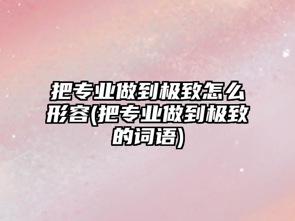 把專業(yè)做到極致怎么形容(把專業(yè)做到極致的詞語)