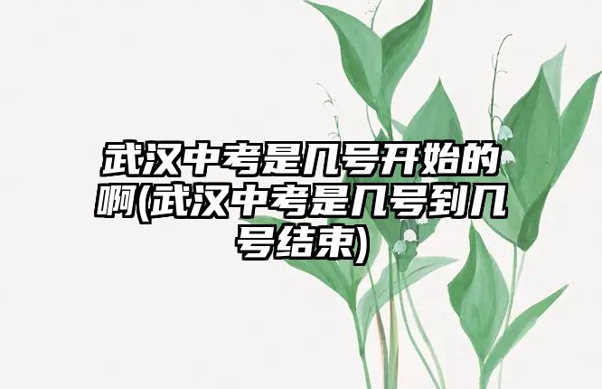 武漢中考是幾號開始的啊(武漢中考是幾號到幾號結束)