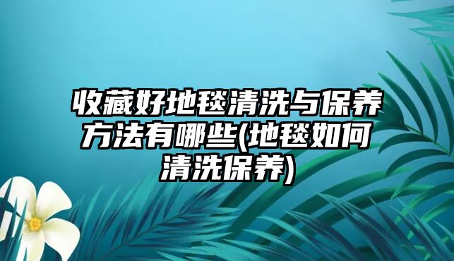 收藏好地毯清洗與保養(yǎng)方法有哪些(地毯如何清洗保養(yǎng))