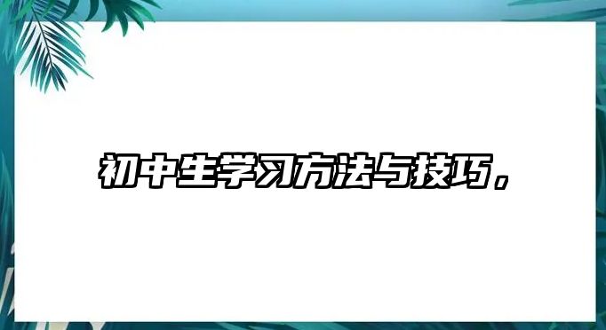 初中生學(xué)習(xí)方法與技巧，