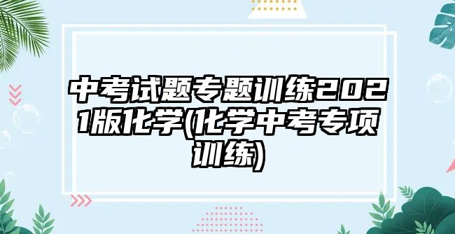 中考試題專題訓(xùn)練2021版化學(xué)(化學(xué)中考專項訓(xùn)練)